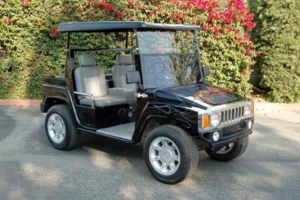 affordable golf cart rental, golf cart rent boston golf cart rental 
